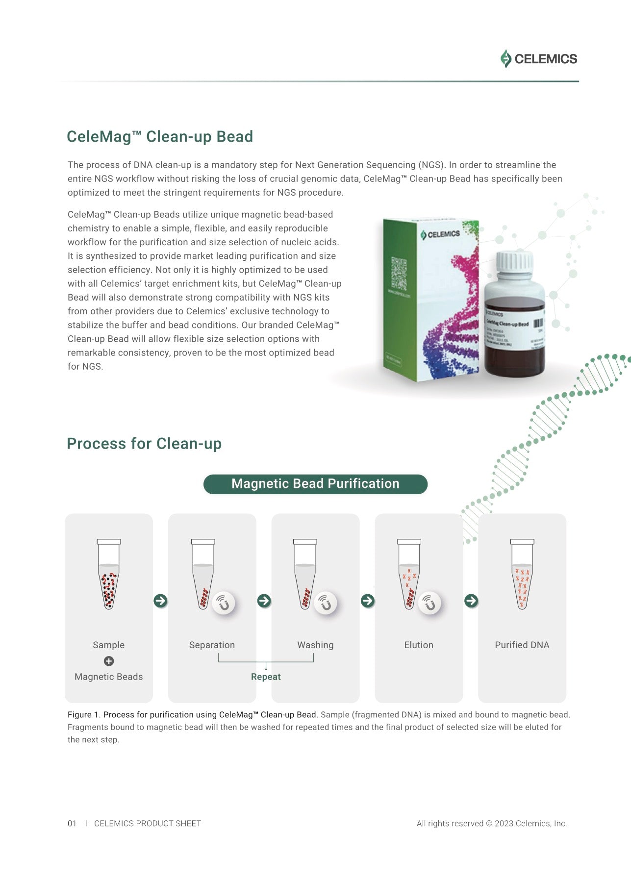 CeleMag™ DNA Clean-Up Bead